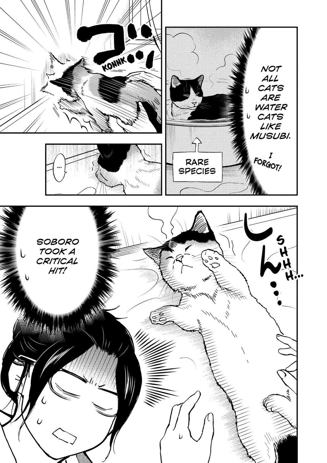 A Gamer Living with a Cat Chapter 44 page 11 - Chapter 44: Soboro's First Bath