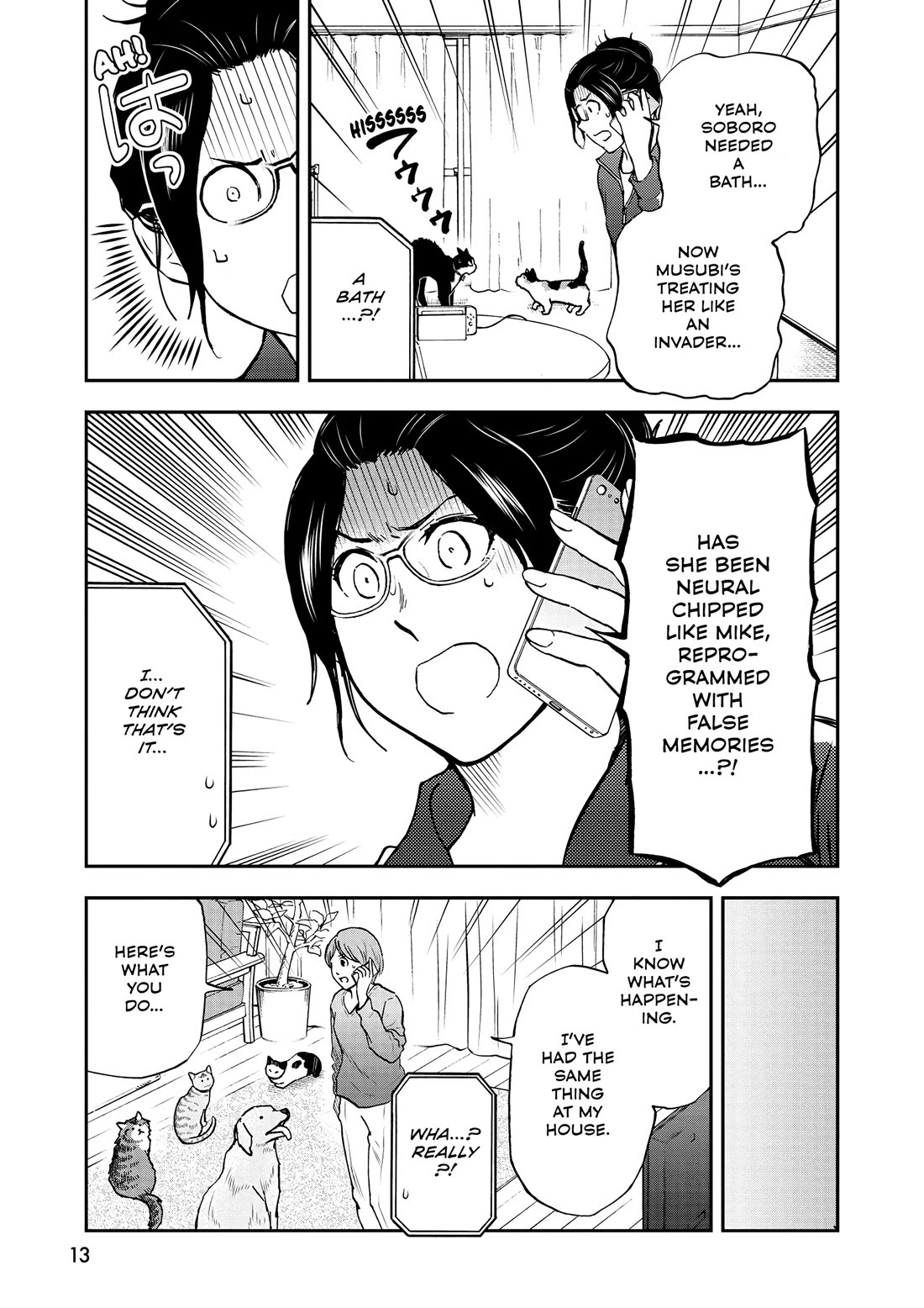 A Gamer Living with a Cat Chapter 45 page 13 - Chapter 45: False Memories?