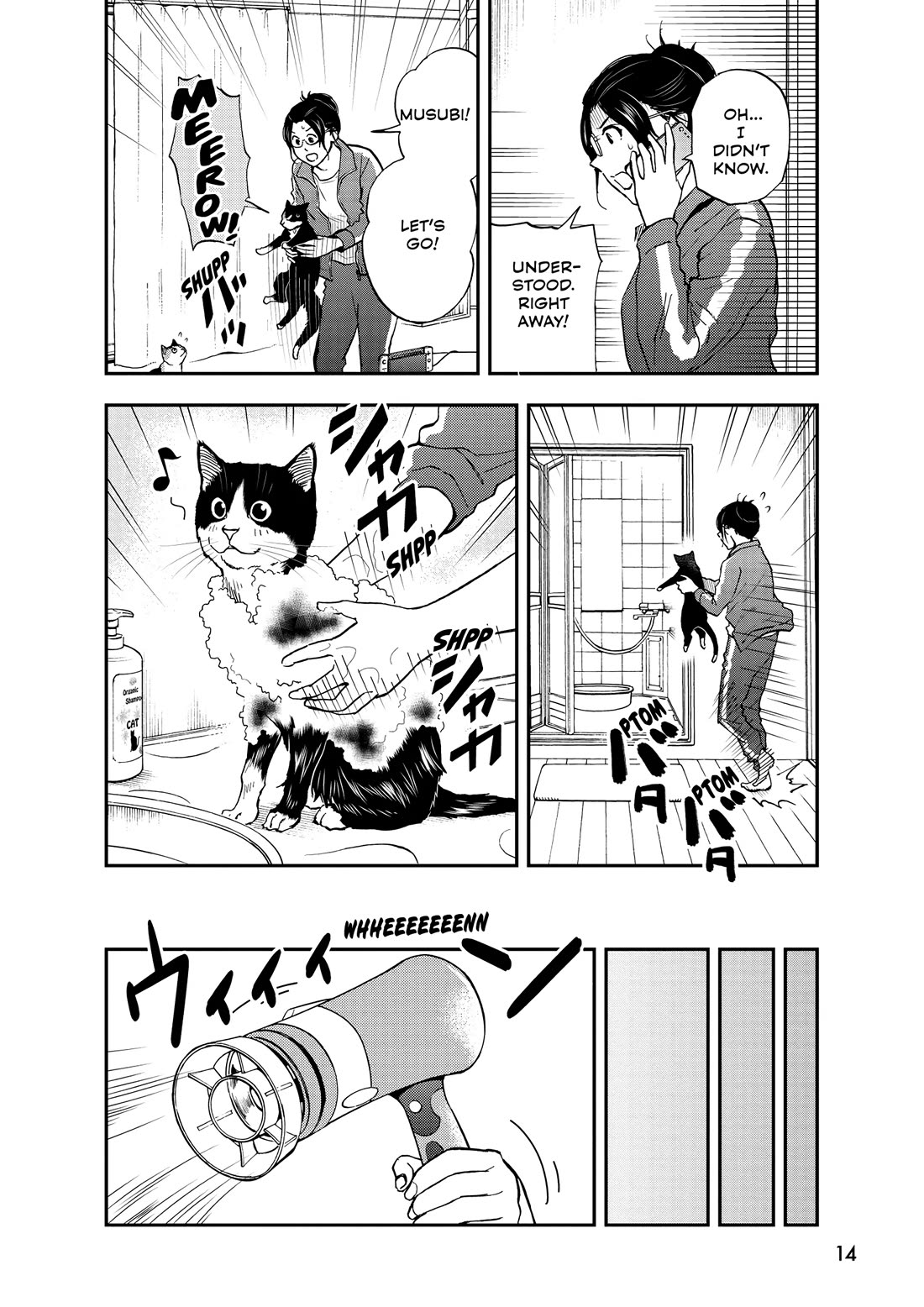 A Gamer Living with a Cat Chapter 45 page 14 - Chapter 45: False Memories?