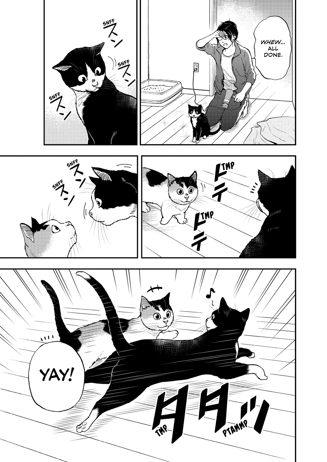 A Gamer Living with a Cat Chapter 45 page 15 - Chapter 45: False Memories?