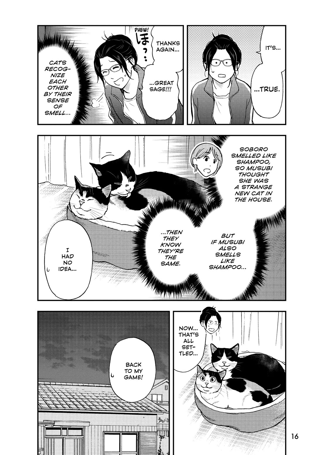 A Gamer Living with a Cat Chapter 45 page 16 - Chapter 45: False Memories?