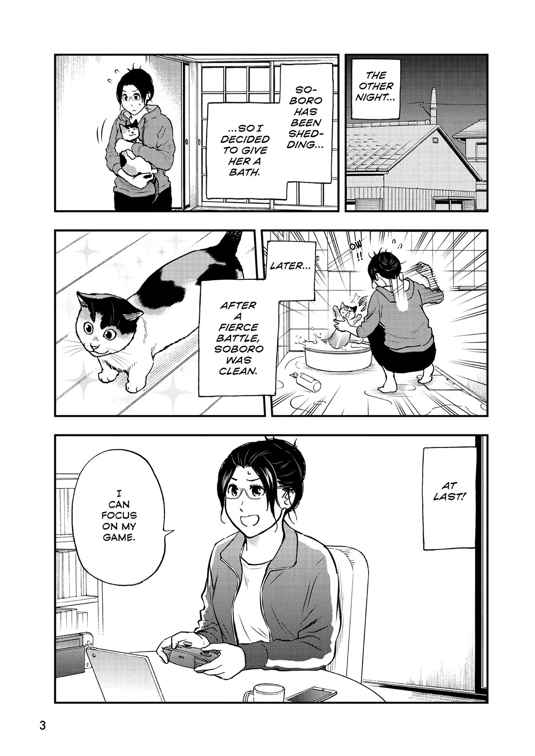 A Gamer Living with a Cat Chapter 45 page 3 - Chapter 45: False Memories?
