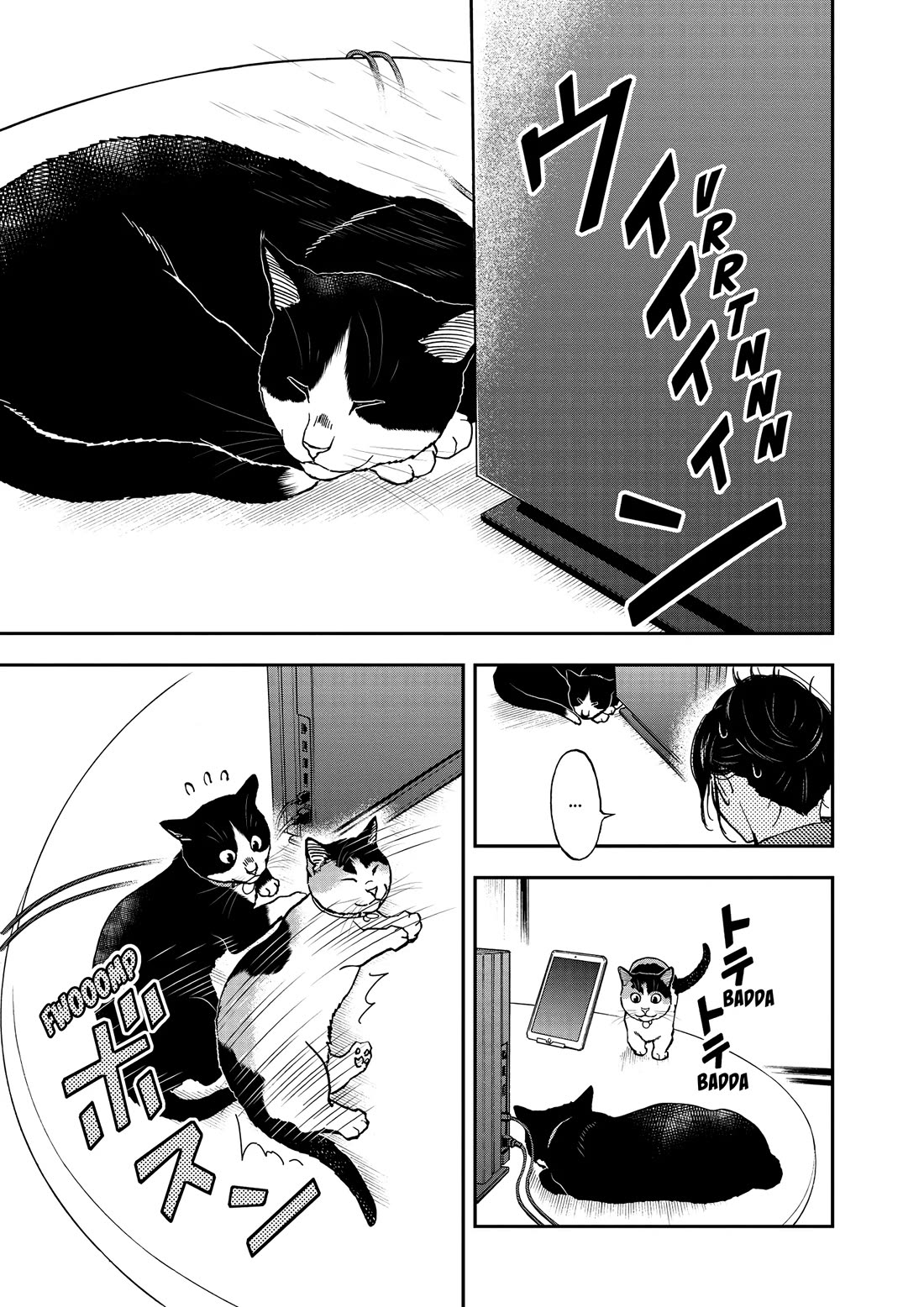 A Gamer Living with a Cat Chapter 46 page 13 - Chapter 46: The Money Pit