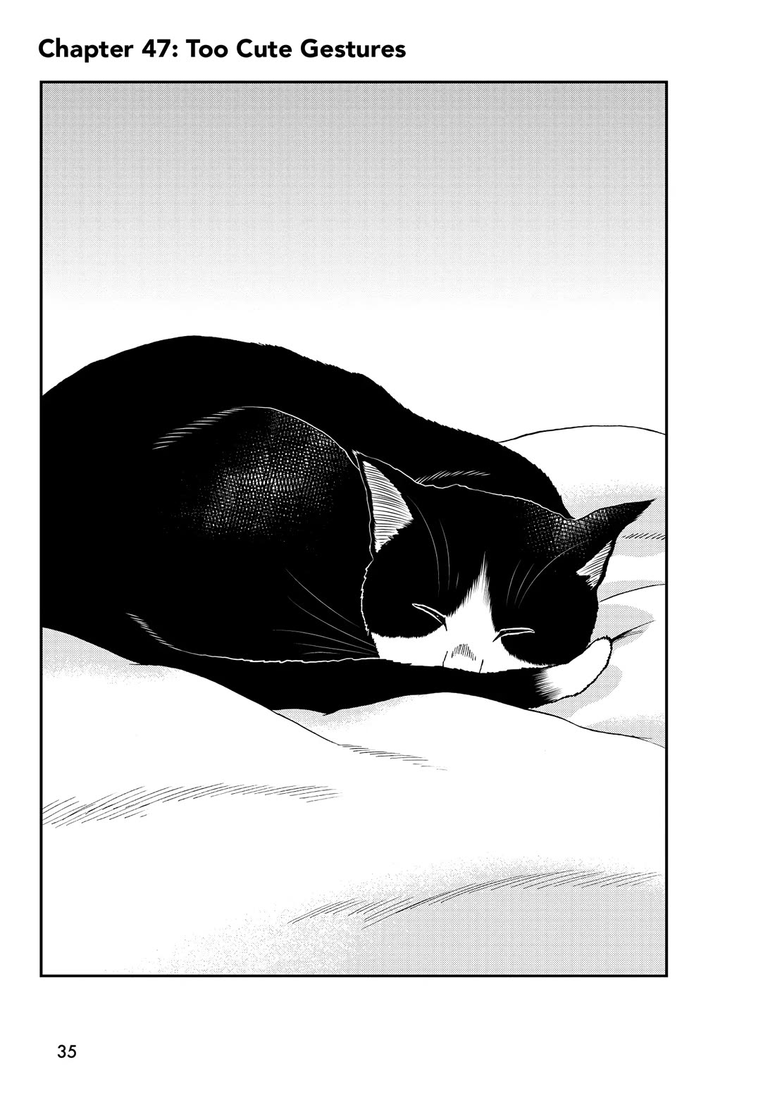 A Gamer Living with a Cat Chapter 47 page 1 - Chapter 47: Too Cute Gestures