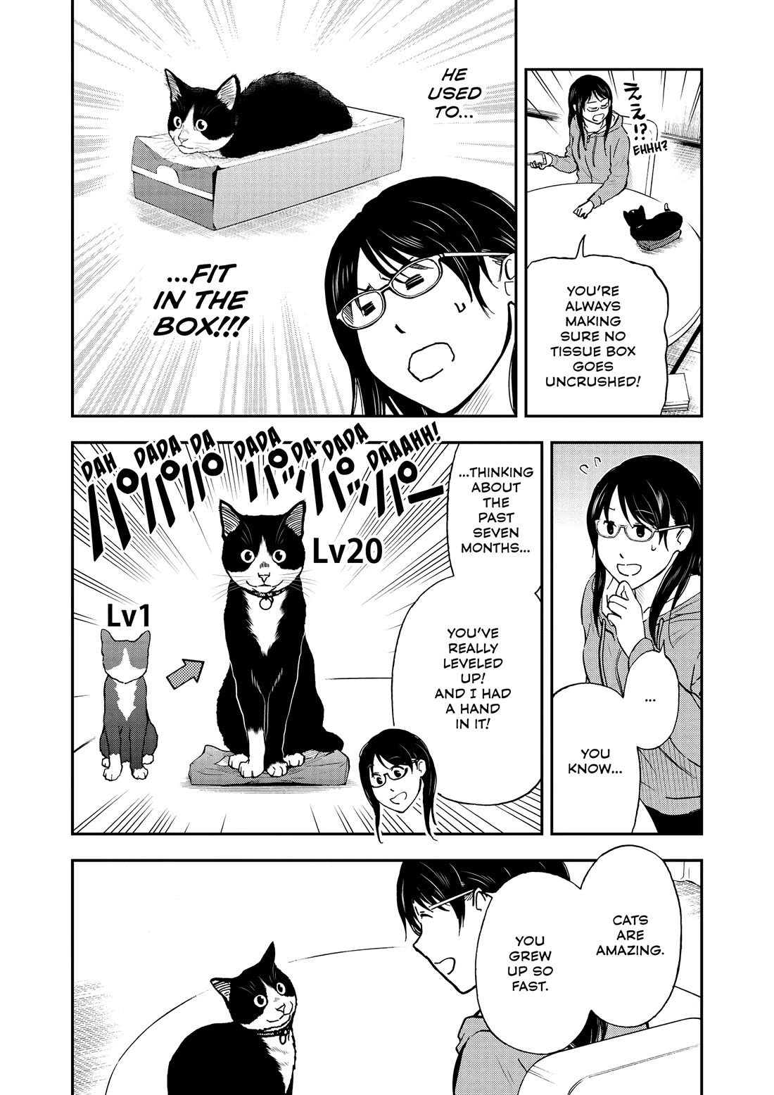 A Gamer Living with a Cat Chapter 48 page 5 - Chapter 48: Outrageous Overspending