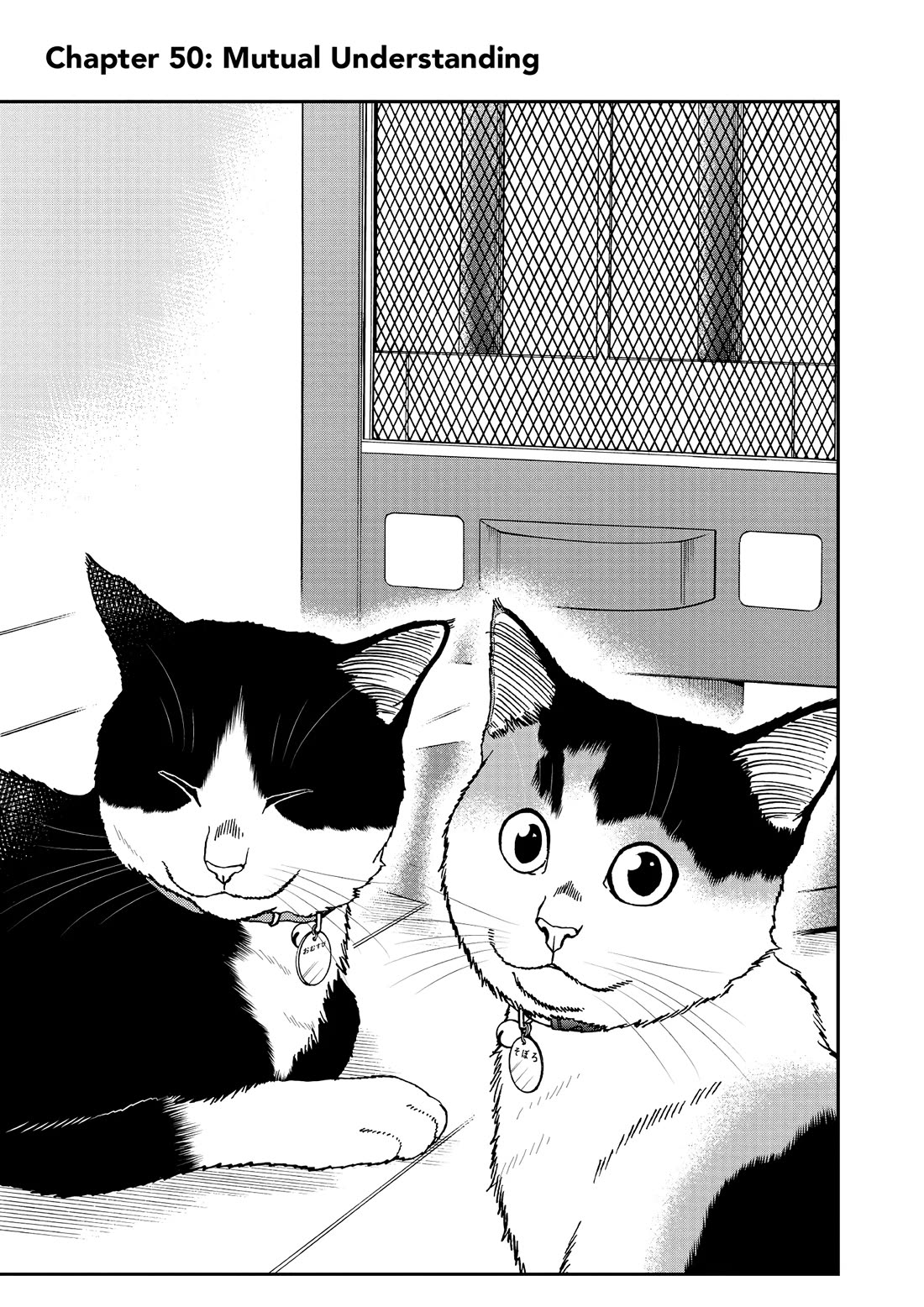 A Gamer Living with a Cat Chapter 50 page 1 - Chapter 50: Mutual Understanding
