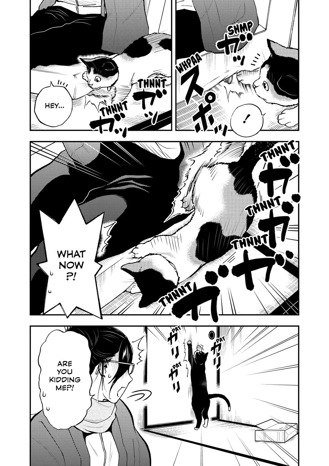 A Gamer Living with a Cat Chapter 50 page 8 - Chapter 50: Mutual Understanding