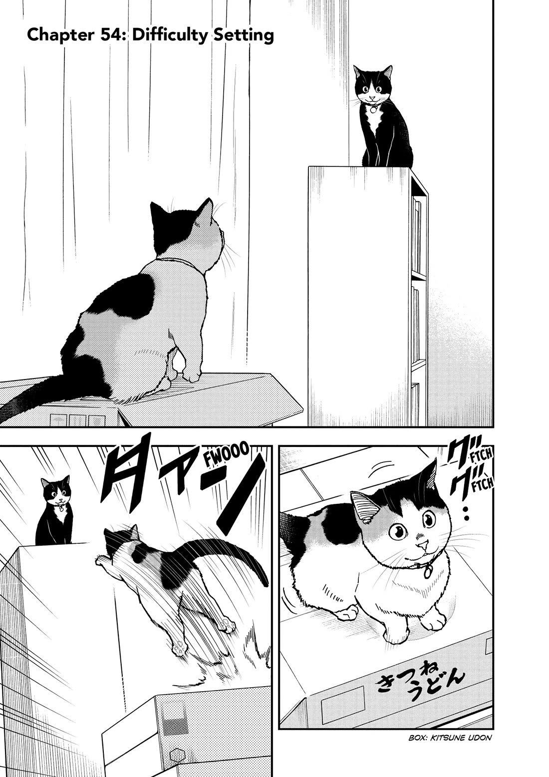 A Gamer Living with a Cat Chapter 54 page 1 - Chapter 54: Difficulty Setting