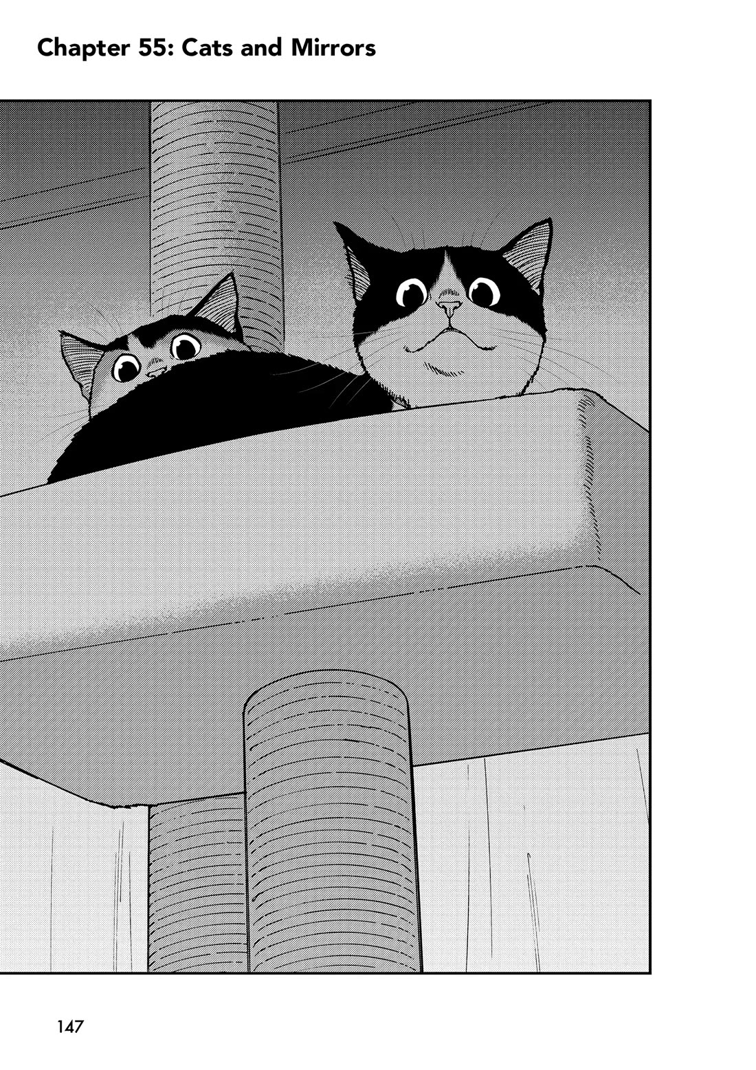 A Gamer Living with a Cat Chapter 55 page 1 - Chapter 55: Cats and Mirrors