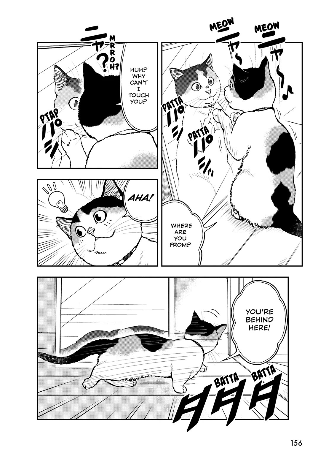 A Gamer Living with a Cat Chapter 55 page 10 - Chapter 55: Cats and Mirrors