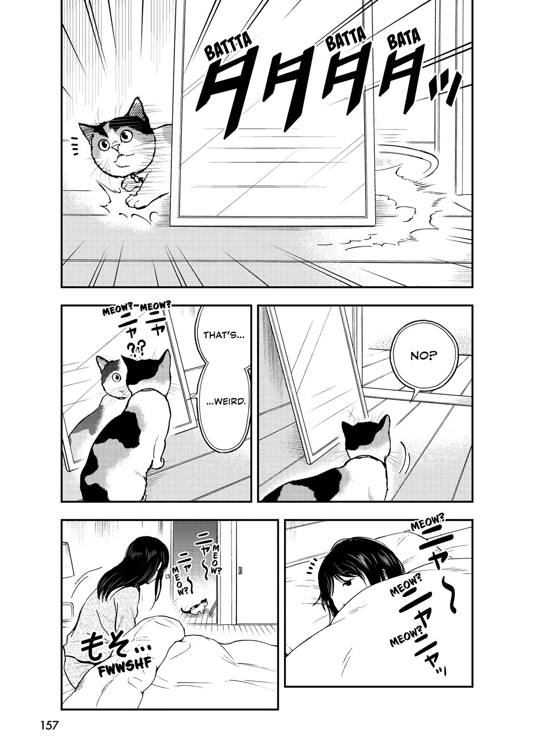 A Gamer Living with a Cat Chapter 55 page 11 - Chapter 55: Cats and Mirrors