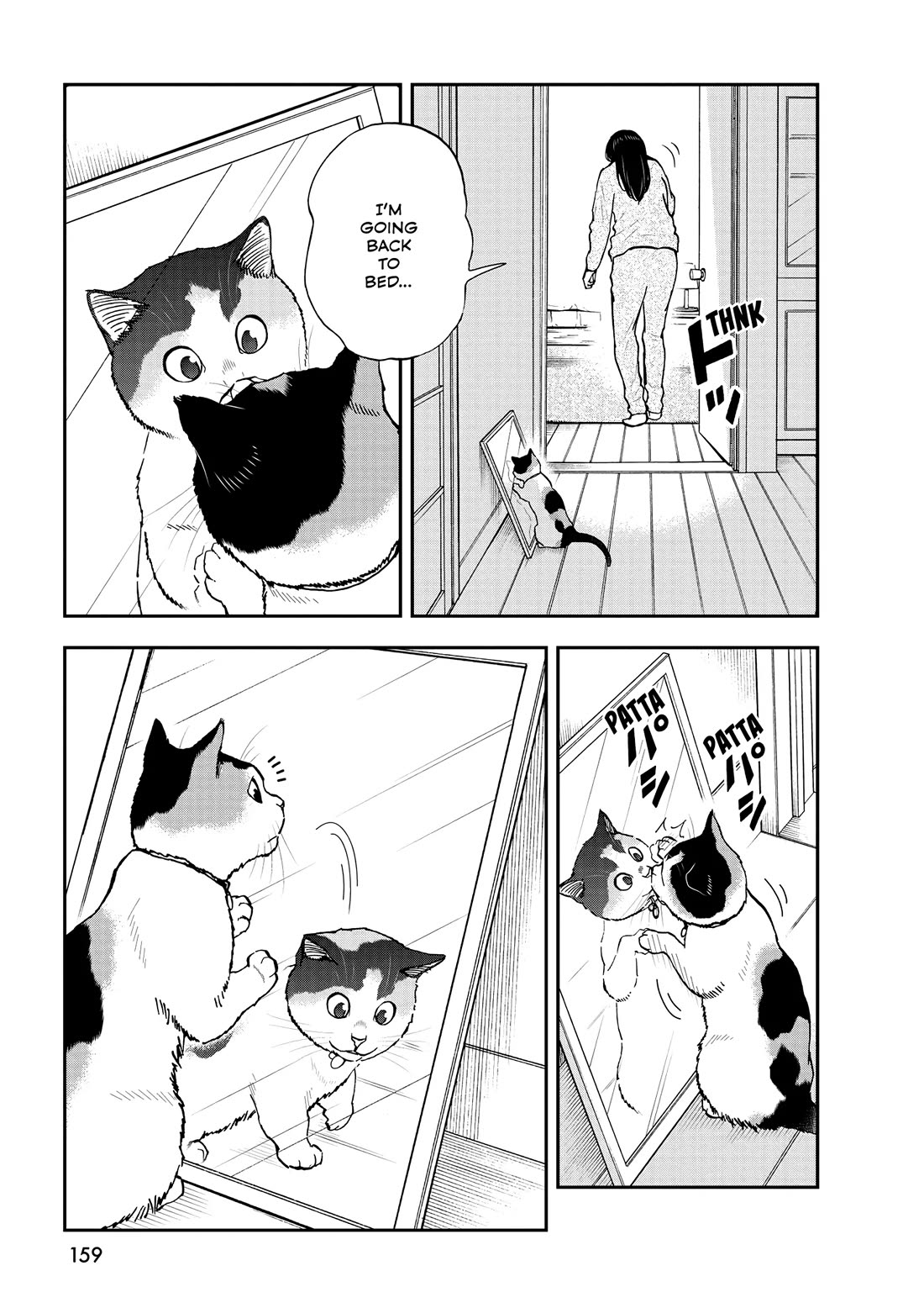 A Gamer Living with a Cat Chapter 55 page 13 - Chapter 55: Cats and Mirrors