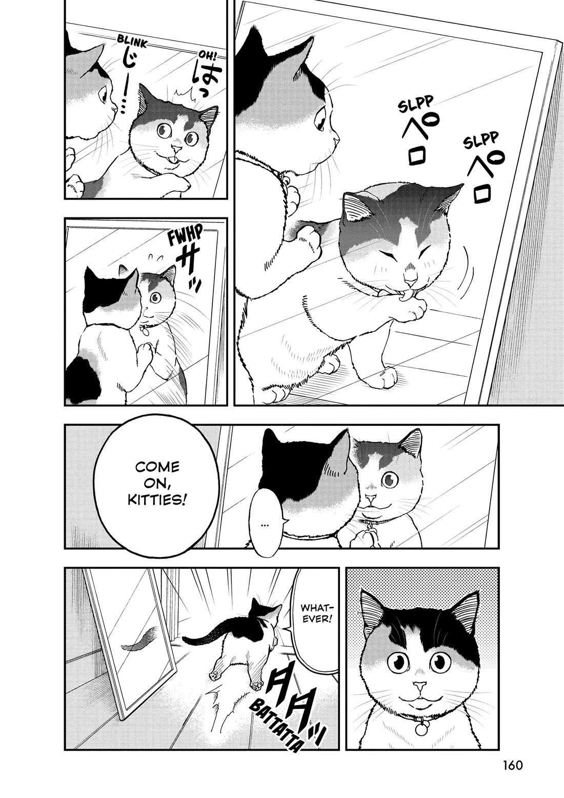 A Gamer Living with a Cat Chapter 55 page 14 - Chapter 55: Cats and Mirrors