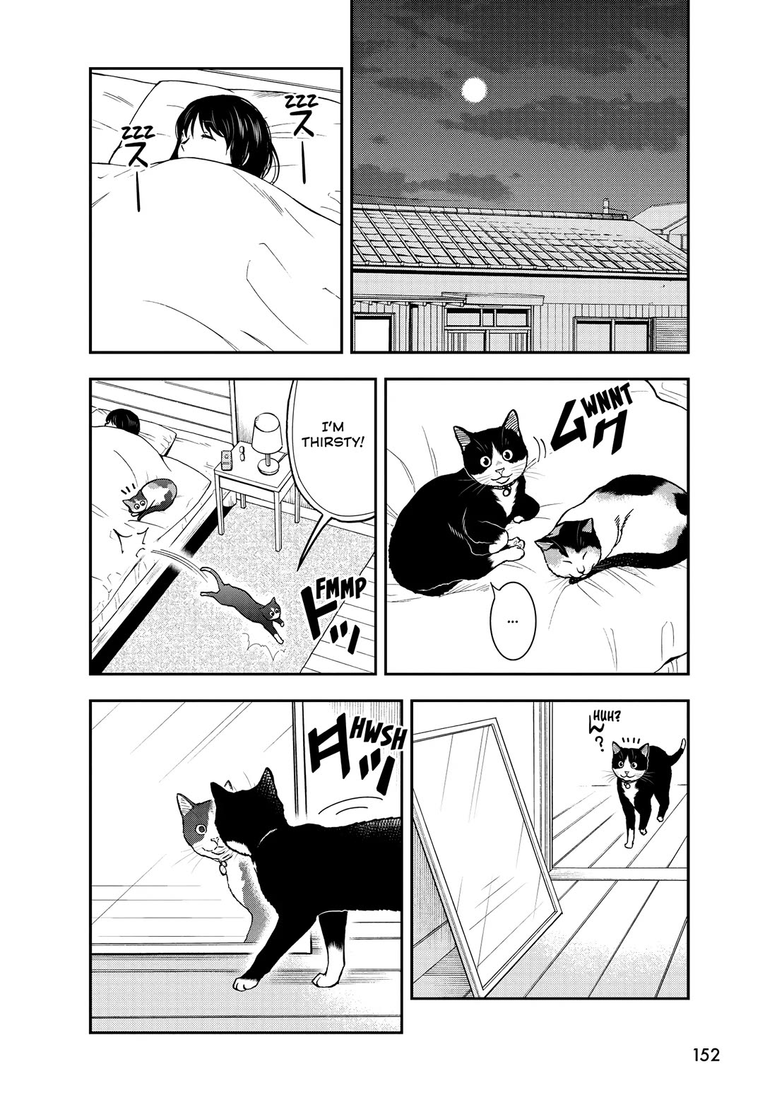 A Gamer Living with a Cat Chapter 55 page 6 - Chapter 55: Cats and Mirrors