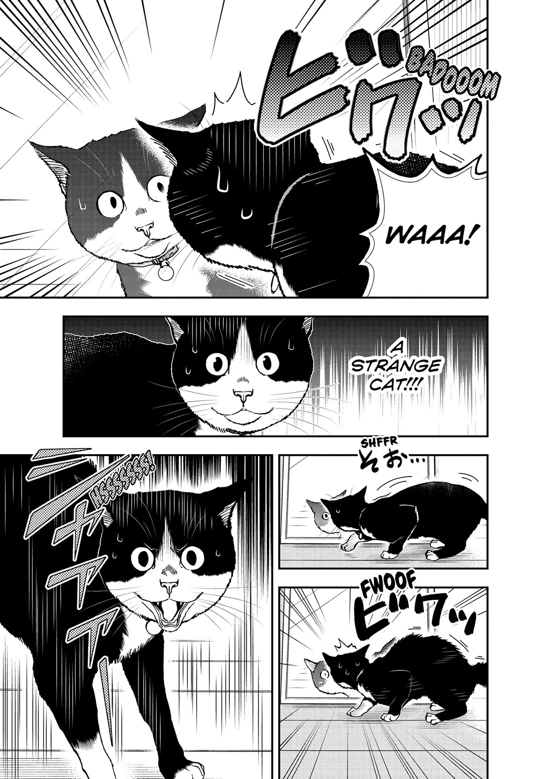 A Gamer Living with a Cat Chapter 55 page 7 - Chapter 55: Cats and Mirrors
