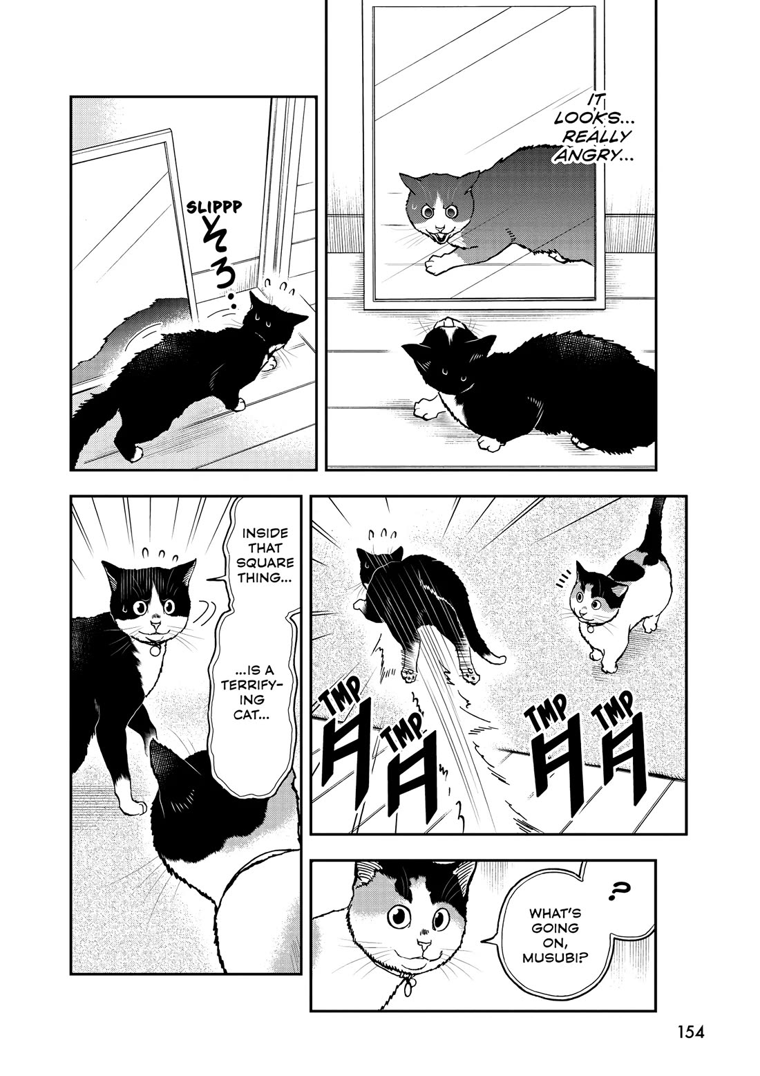 A Gamer Living with a Cat Chapter 55 page 8 - Chapter 55: Cats and Mirrors