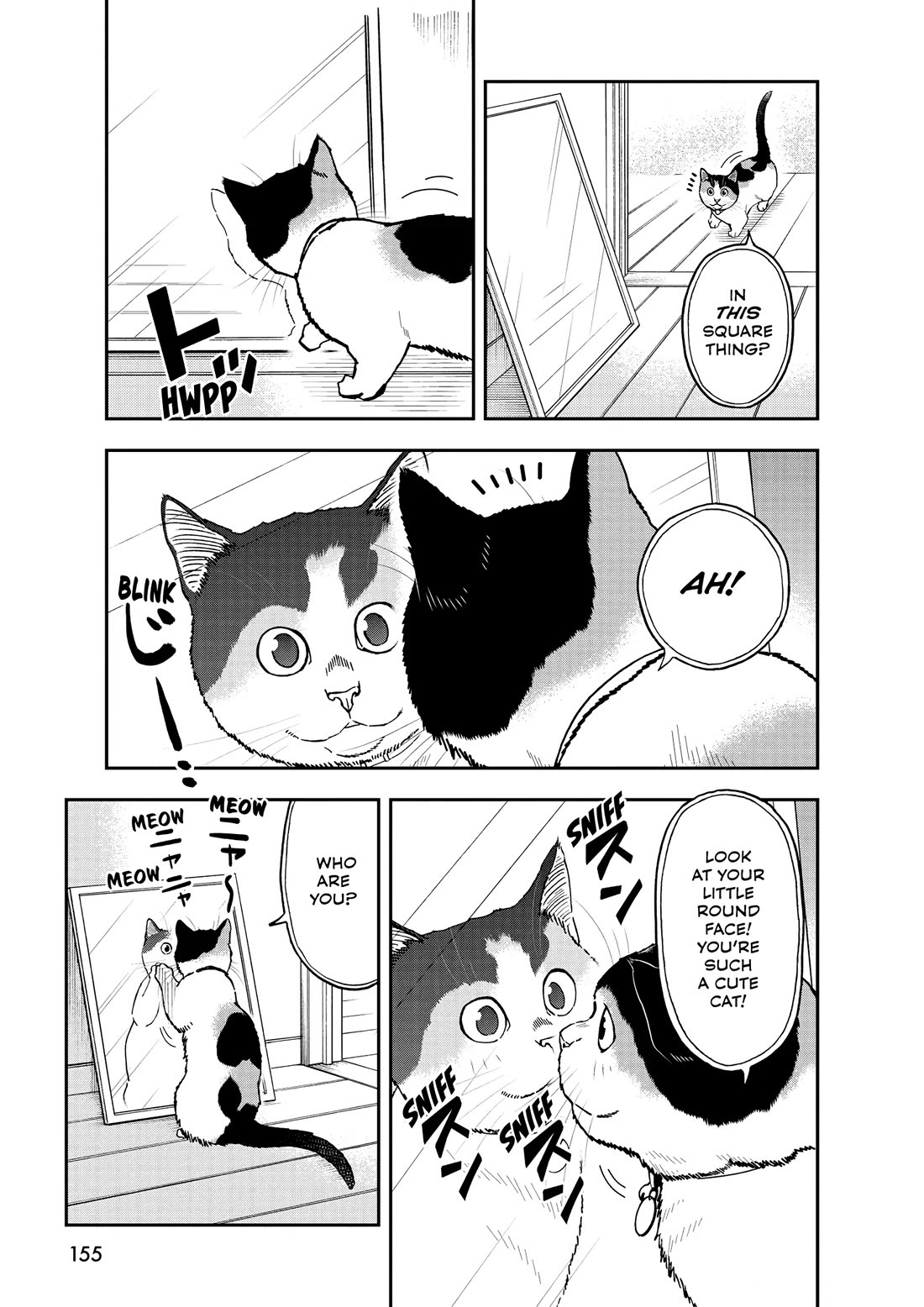A Gamer Living with a Cat Chapter 55 page 9 - Chapter 55: Cats and Mirrors