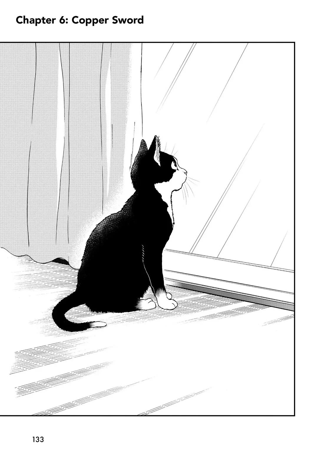 A Gamer Living with a Cat Chapter 6 page 1 - Chapter 6: Copper Sword