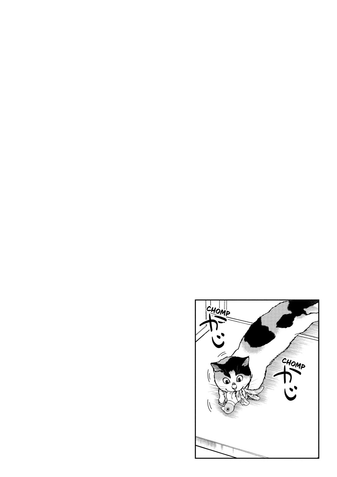 A Gamer Living with a Cat Chapter 62 page 14 - Chapter 62: Meeting and Cat and Supporter and...