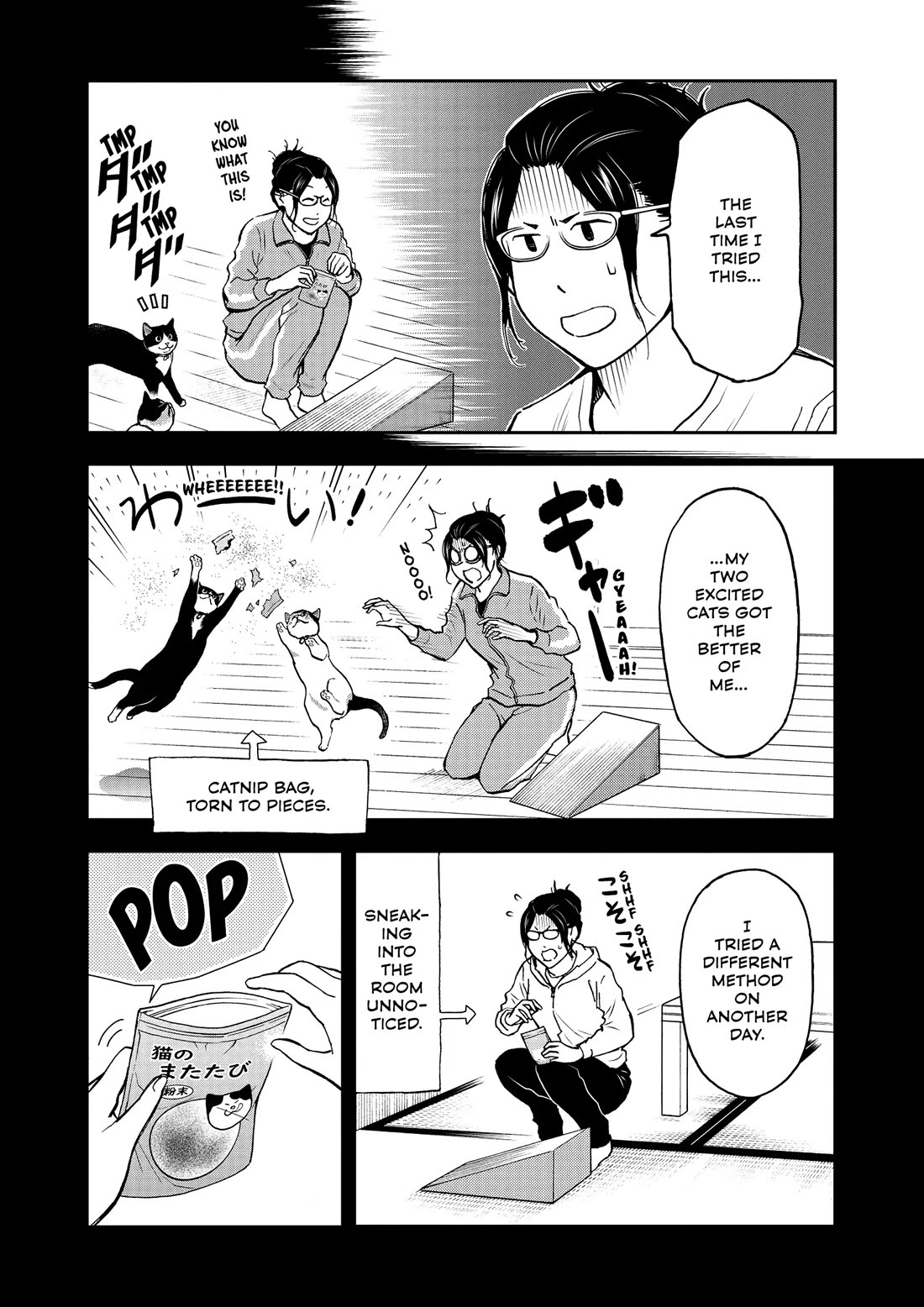 A Gamer Living with a Cat Chapter 64 page 5 - Chapter 64: Stealth Mission