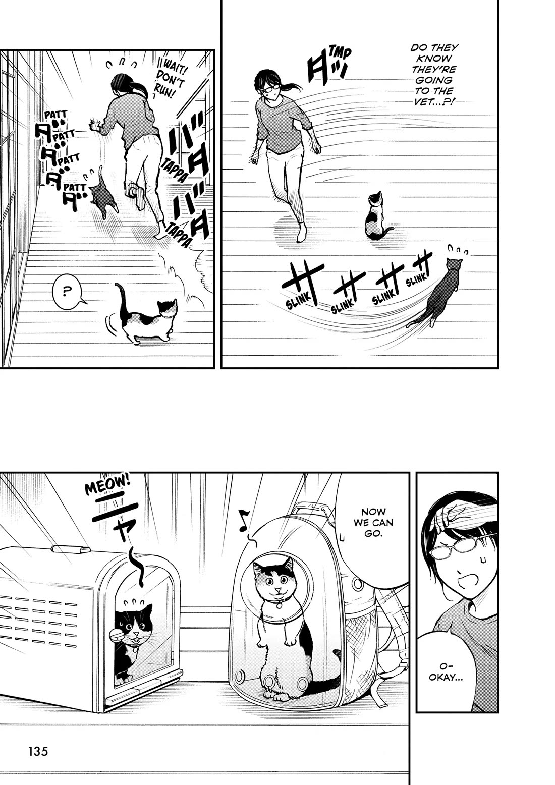 A Gamer Living with a Cat Chapter 65 page 5 - Chapter 65: To Unknown Worlds