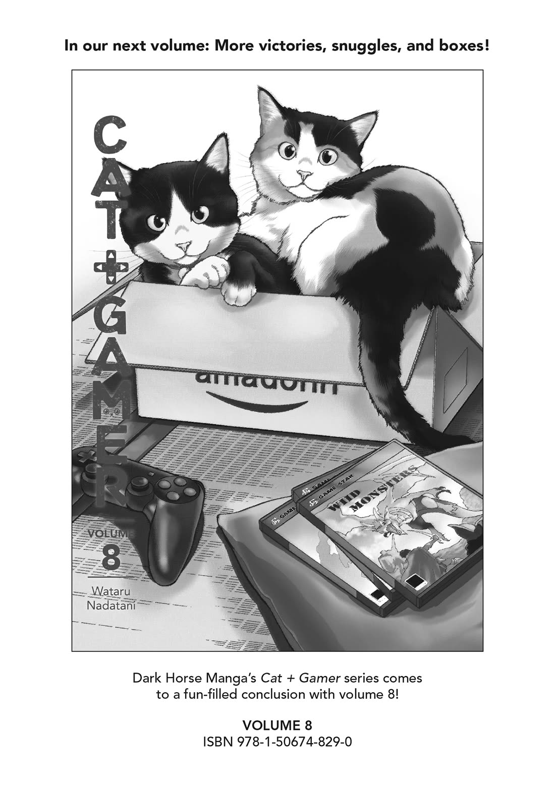 A Gamer Living with a Cat Chapter 66 page 12 - Chapter 66: Cat-Drum Battle Mode