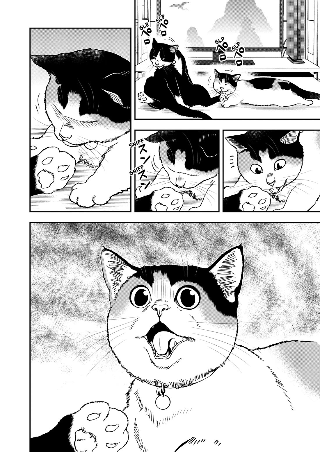 A Gamer Living with a Cat Chapter 67 page 10 - Chapter 67: Ending and Cheat Techniques