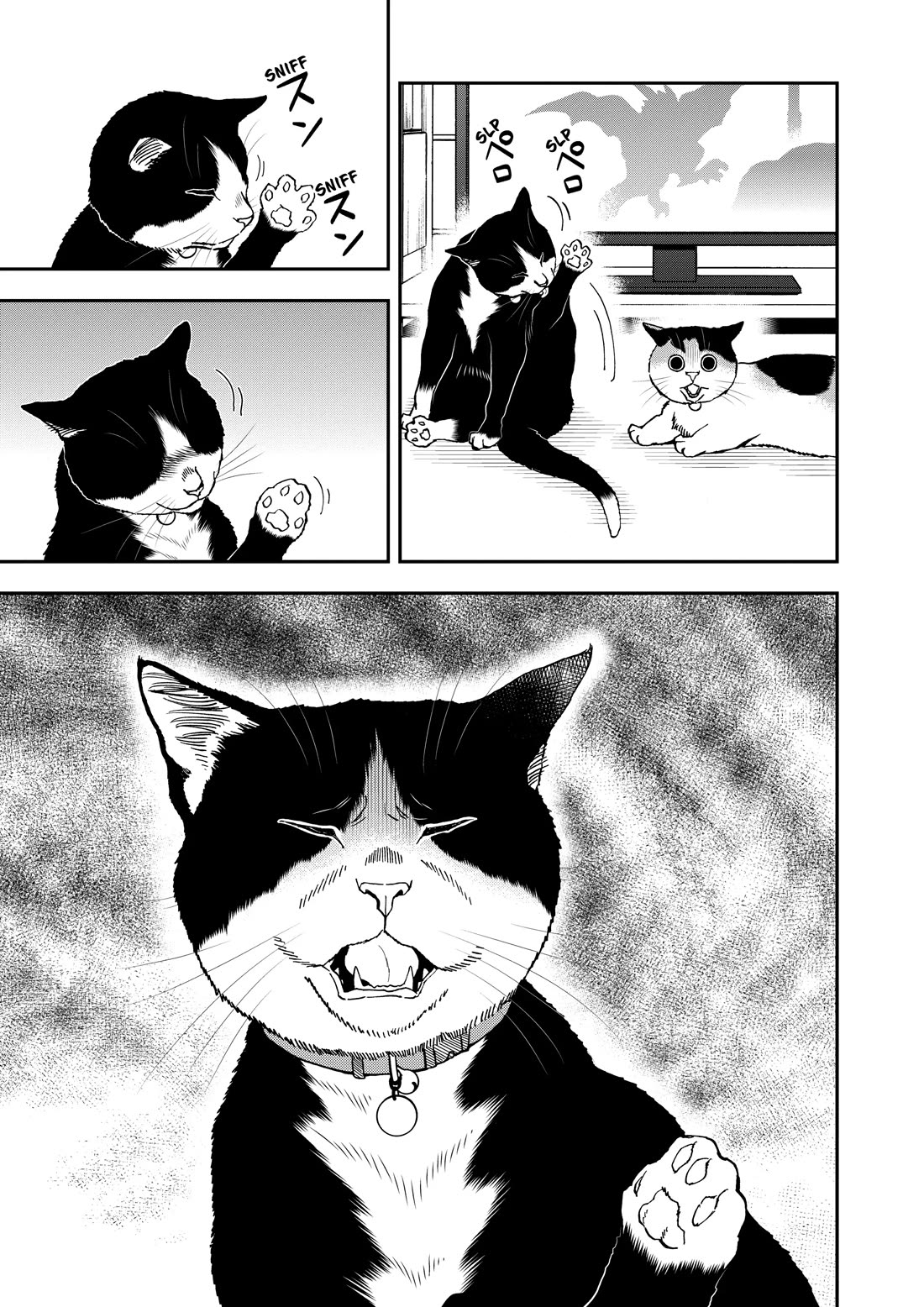 A Gamer Living with a Cat Chapter 67 page 11 - Chapter 67: Ending and Cheat Techniques
