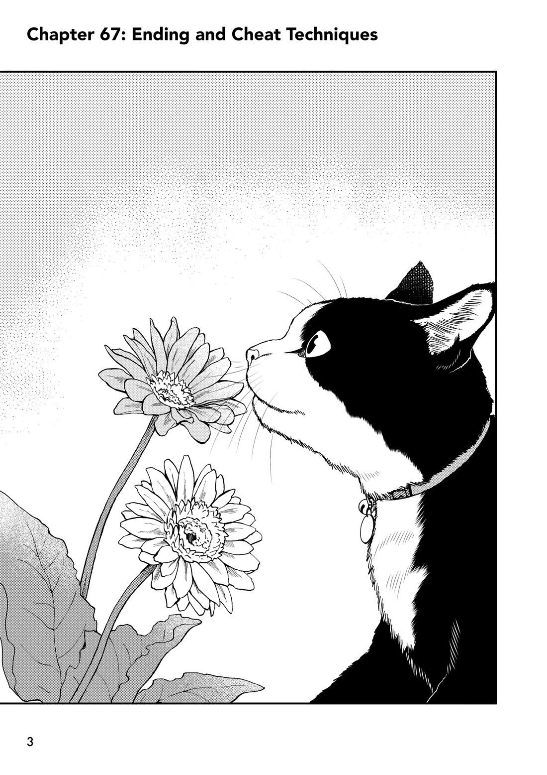 A Gamer Living with a Cat Chapter 67 page 3 - Chapter 67: Ending and Cheat Techniques
