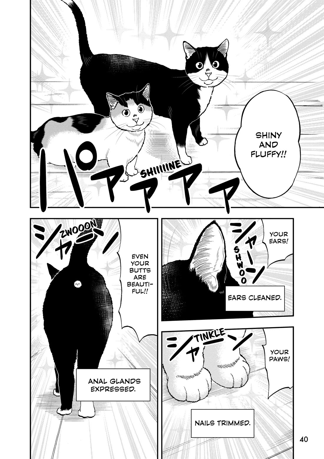 A Gamer Living with a Cat Chapter 69 page 10 - Chapter 69: Skilled Healers