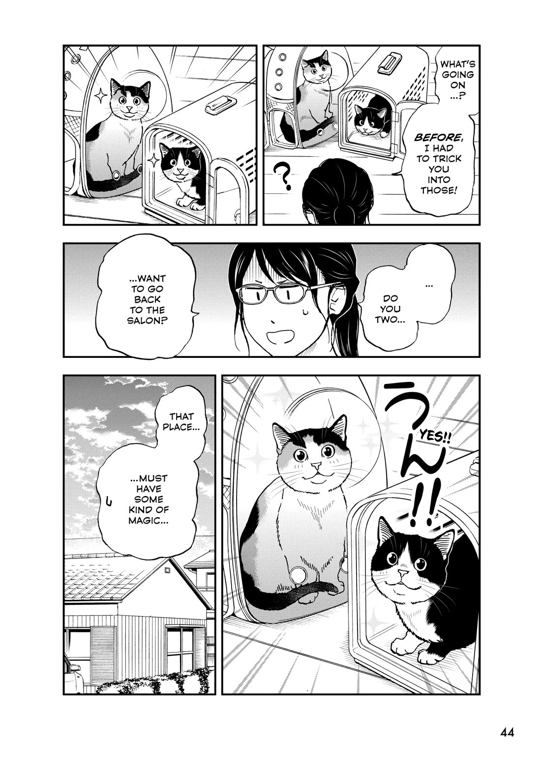 A Gamer Living with a Cat Chapter 69 page 14 - Chapter 69: Skilled Healers