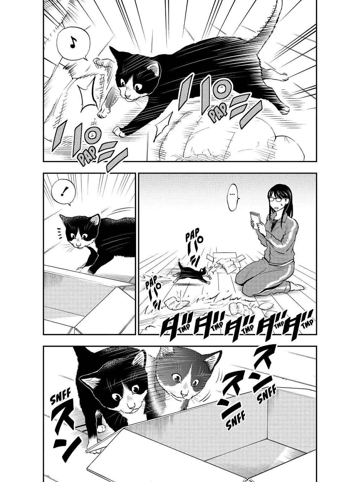 A Gamer Living with a Cat Chapter 7 page 6 - Chapter 7: Check