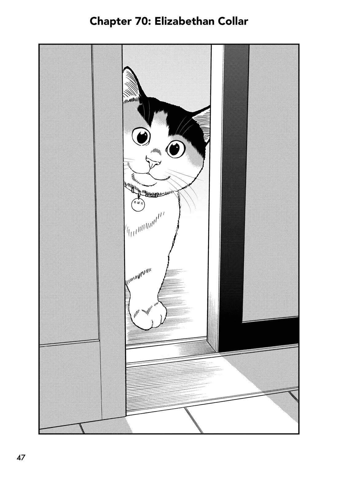 A Gamer Living with a Cat Chapter 70 page 1 - Chapter 70: Elizabethan Collar