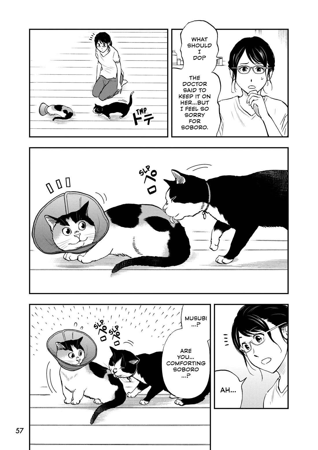 A Gamer Living with a Cat Chapter 70 page 11 - Chapter 70: Elizabethan Collar