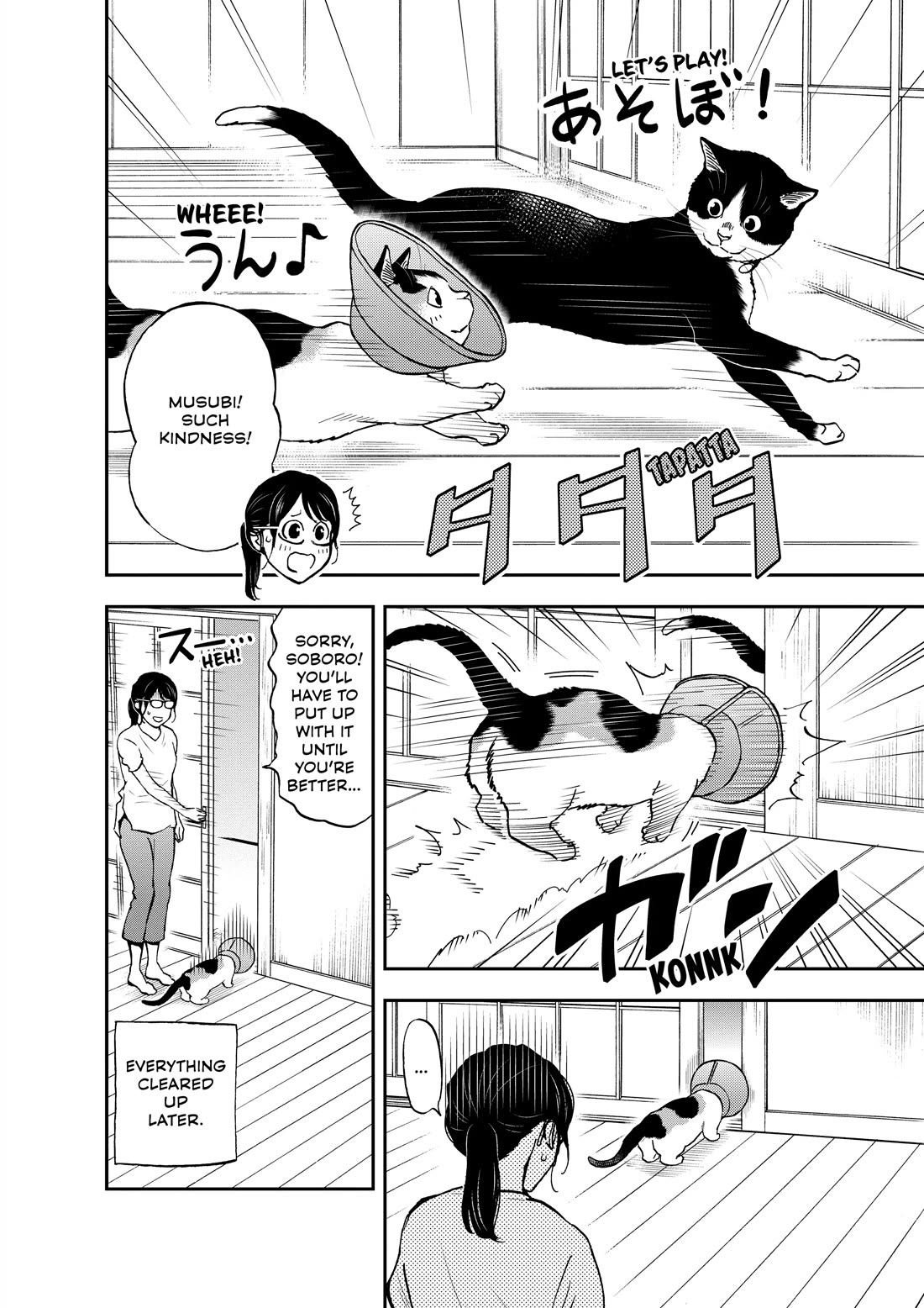 A Gamer Living with a Cat Chapter 70 page 12 - Chapter 70: Elizabethan Collar