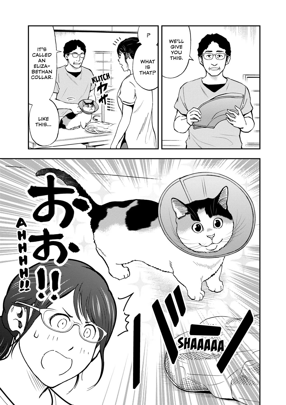 A Gamer Living with a Cat Chapter 70 page 3 - Chapter 70: Elizabethan Collar
