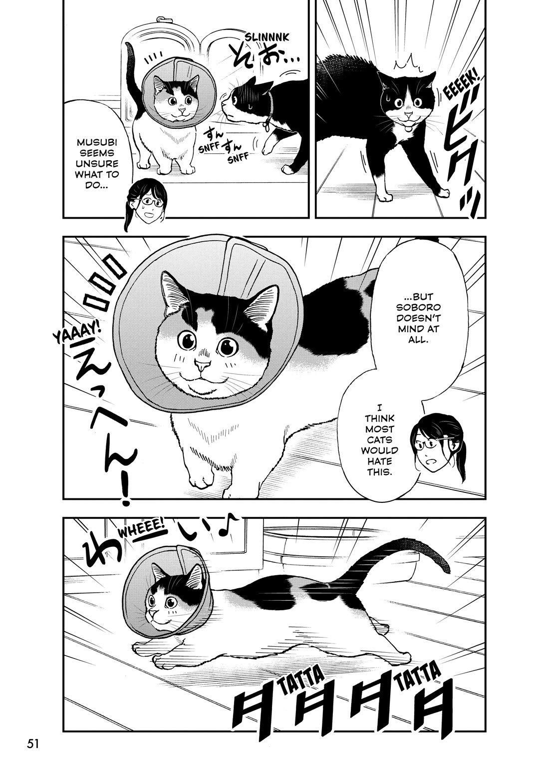 A Gamer Living with a Cat Chapter 70 page 5 - Chapter 70: Elizabethan Collar