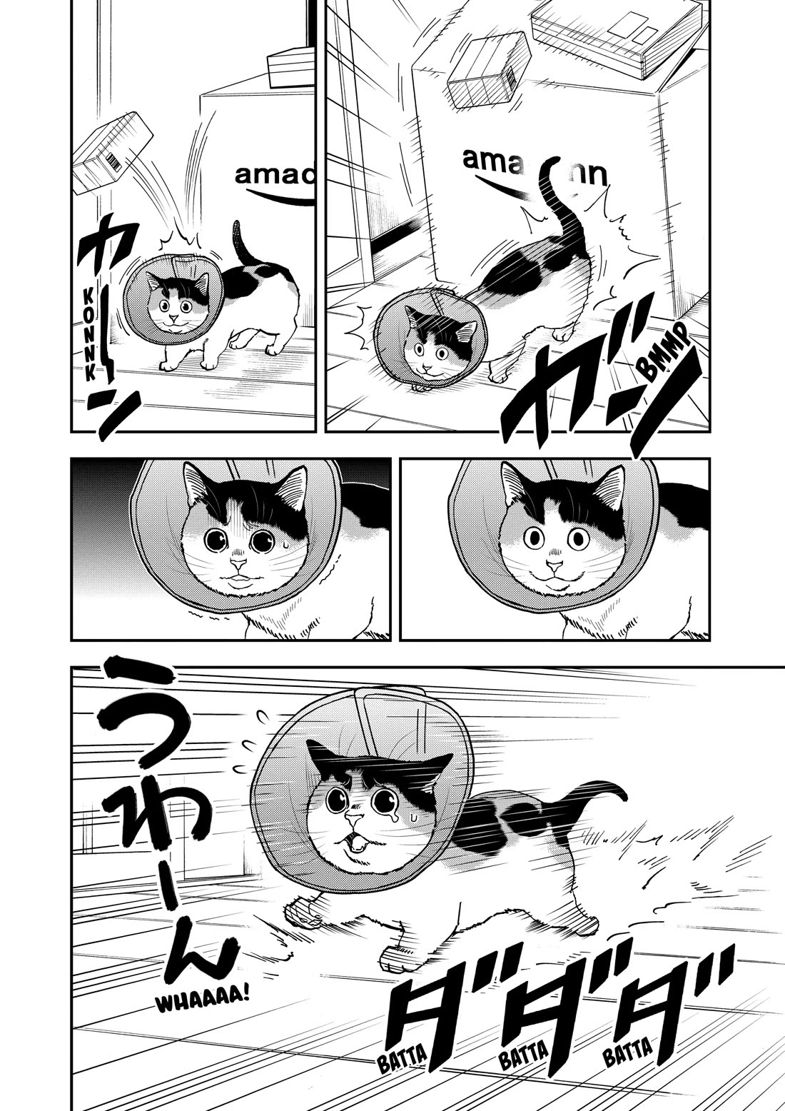 A Gamer Living with a Cat Chapter 70 page 8 - Chapter 70: Elizabethan Collar