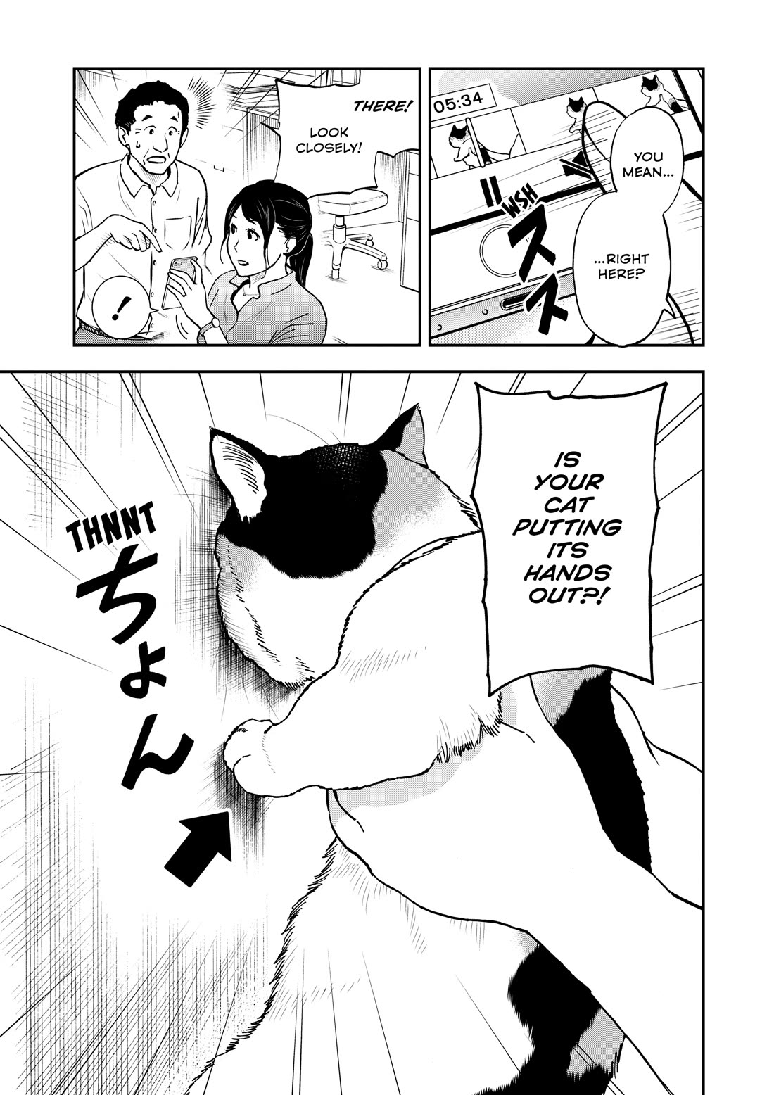 A Gamer Living with a Cat Chapter 71 page 13 - Chapter 71: Wall Cat Challenge