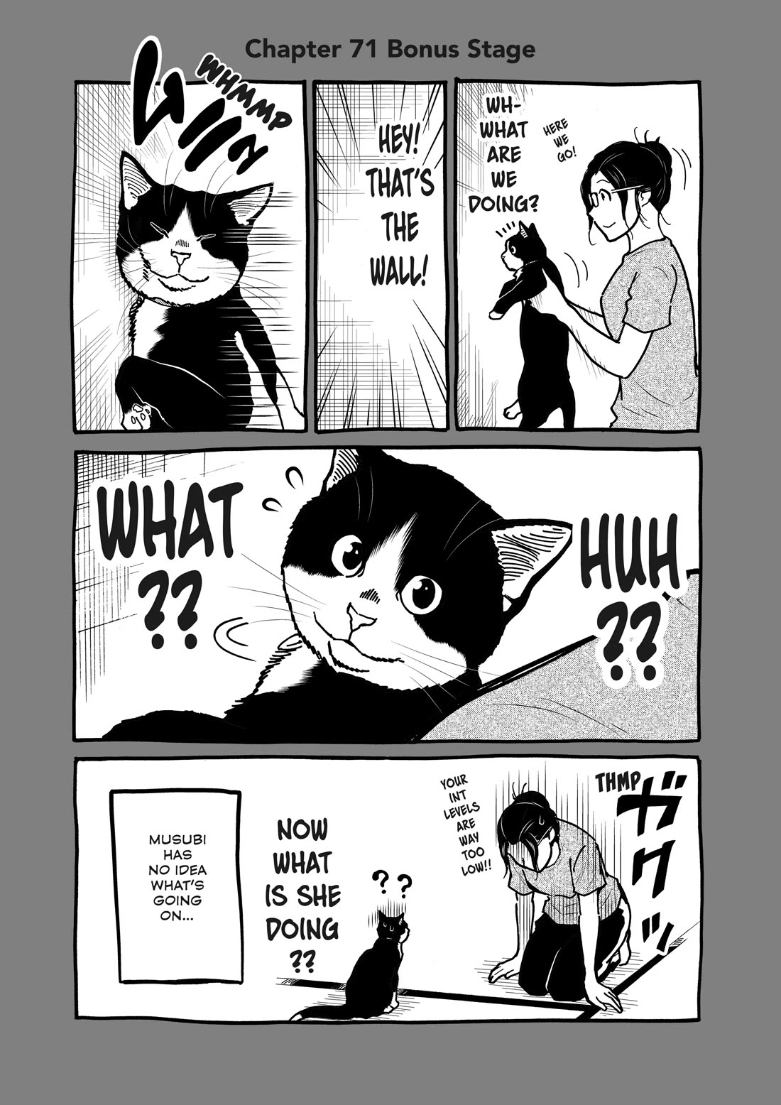 A Gamer Living with a Cat Chapter 71 page 15 - Chapter 71: Wall Cat Challenge