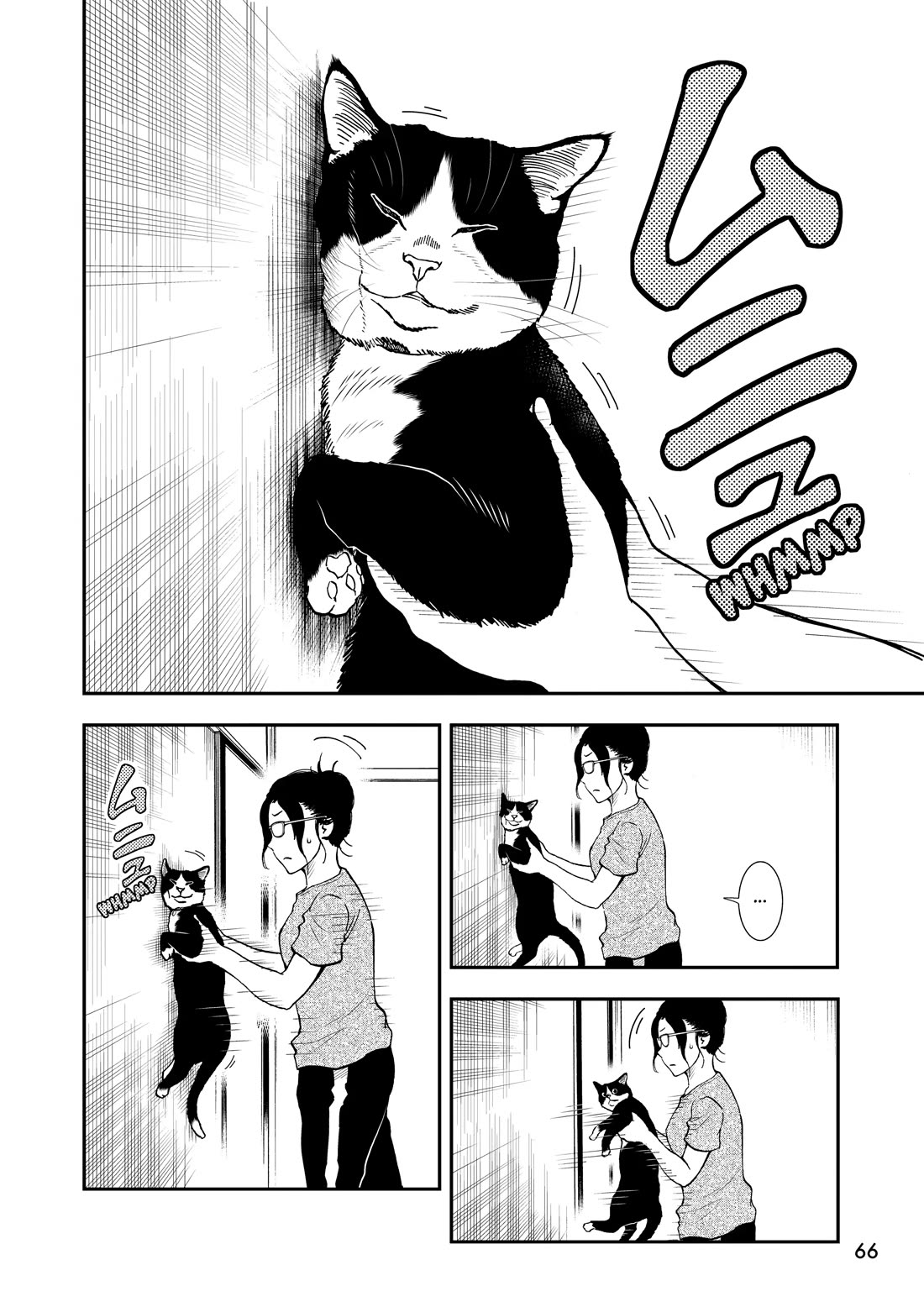 A Gamer Living with a Cat Chapter 71 page 6 - Chapter 71: Wall Cat Challenge