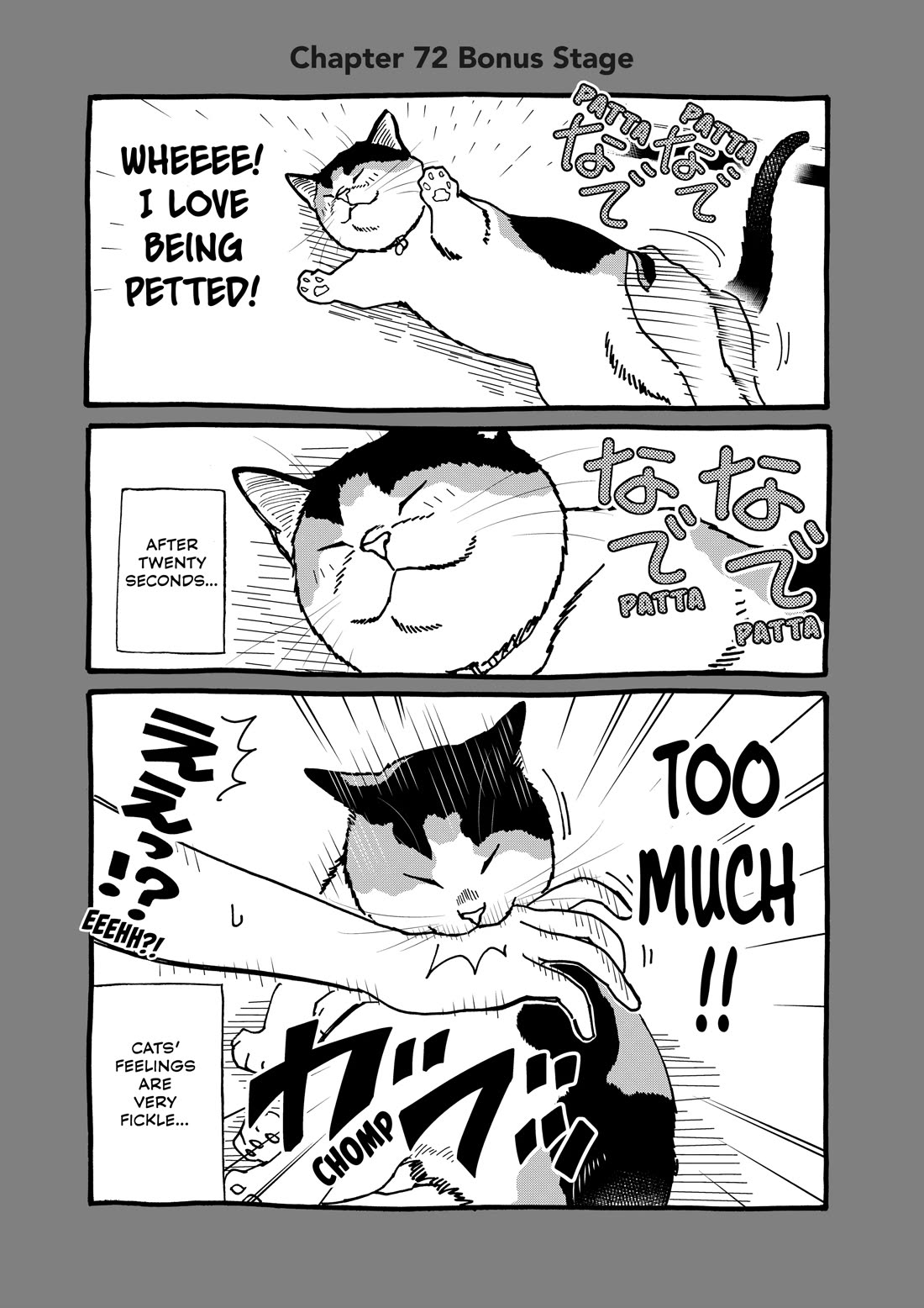 A Gamer Living with a Cat Chapter 72 page 13 - Chapter 72: Strategy Session
