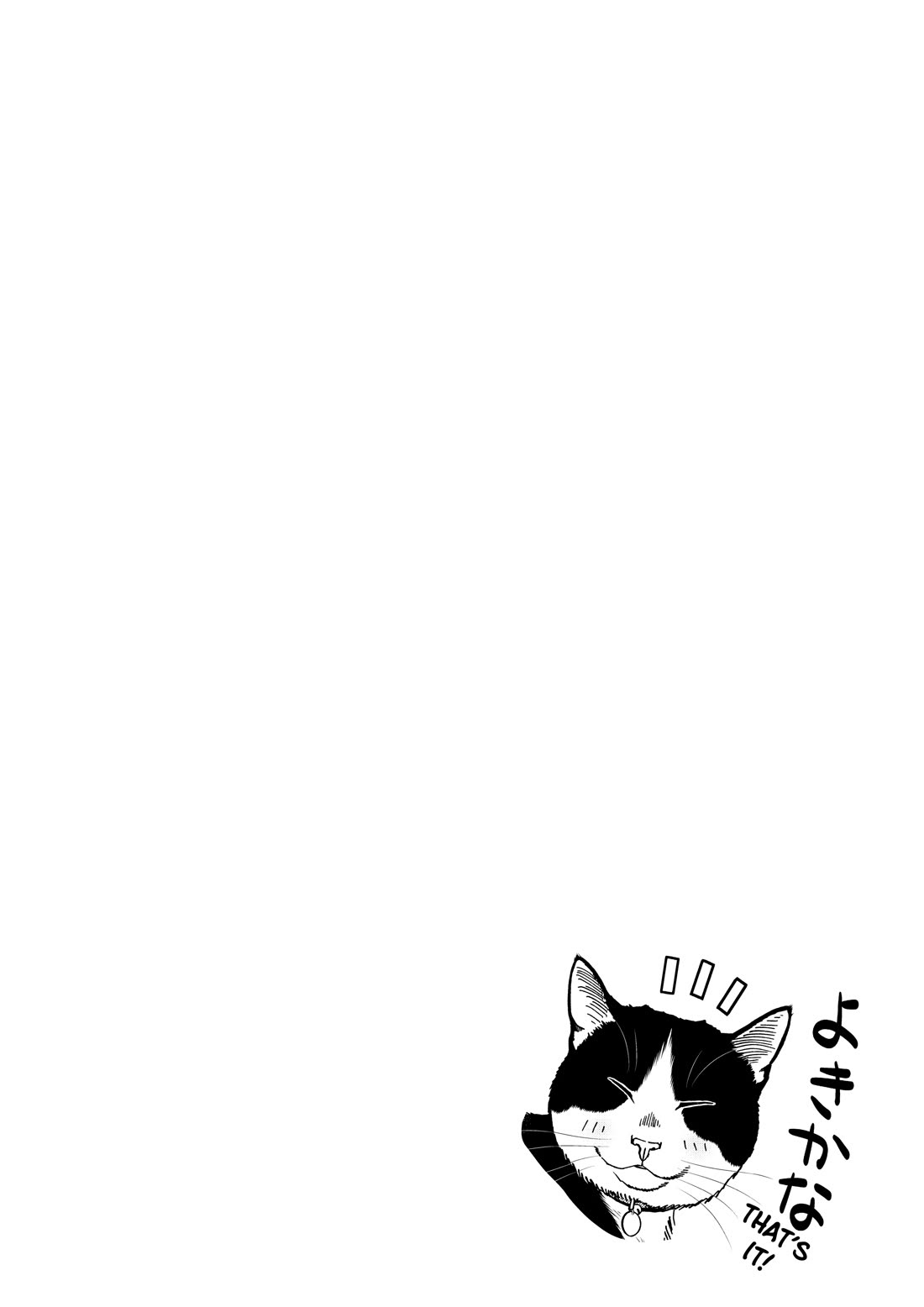 A Gamer Living with a Cat Chapter 72 page 14 - Chapter 72: Strategy Session
