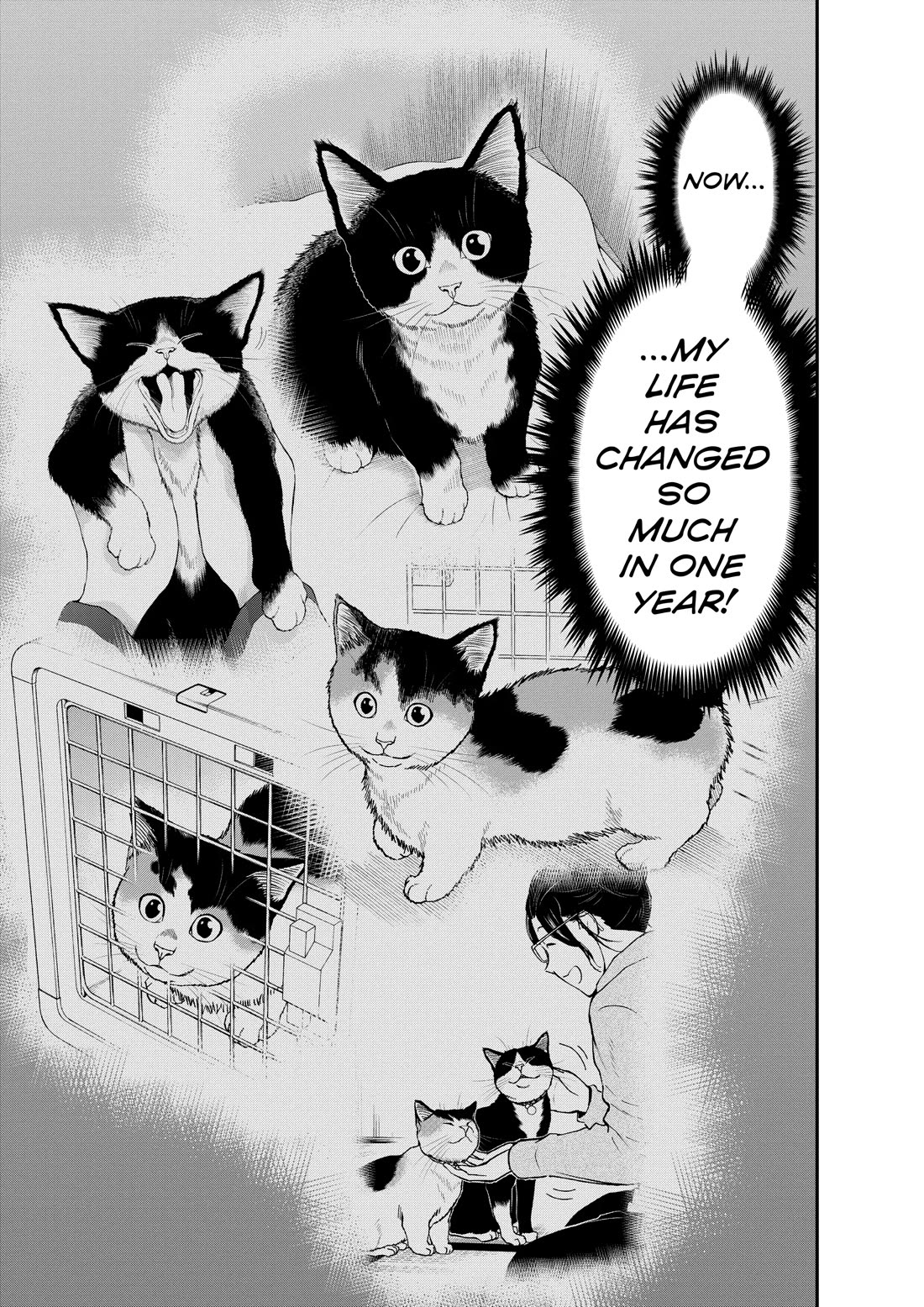 A Gamer Living with a Cat Chapter 73 page 15 - Chapter 73: My Kids' Merch