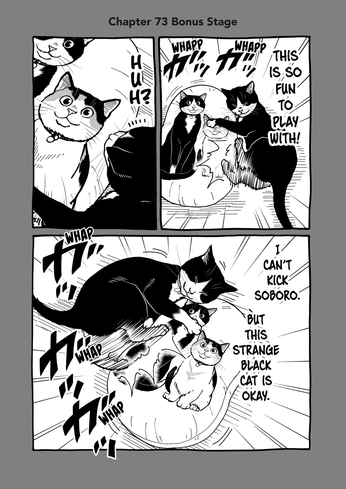 A Gamer Living with a Cat Chapter 73 page 17 - Chapter 73: My Kids' Merch