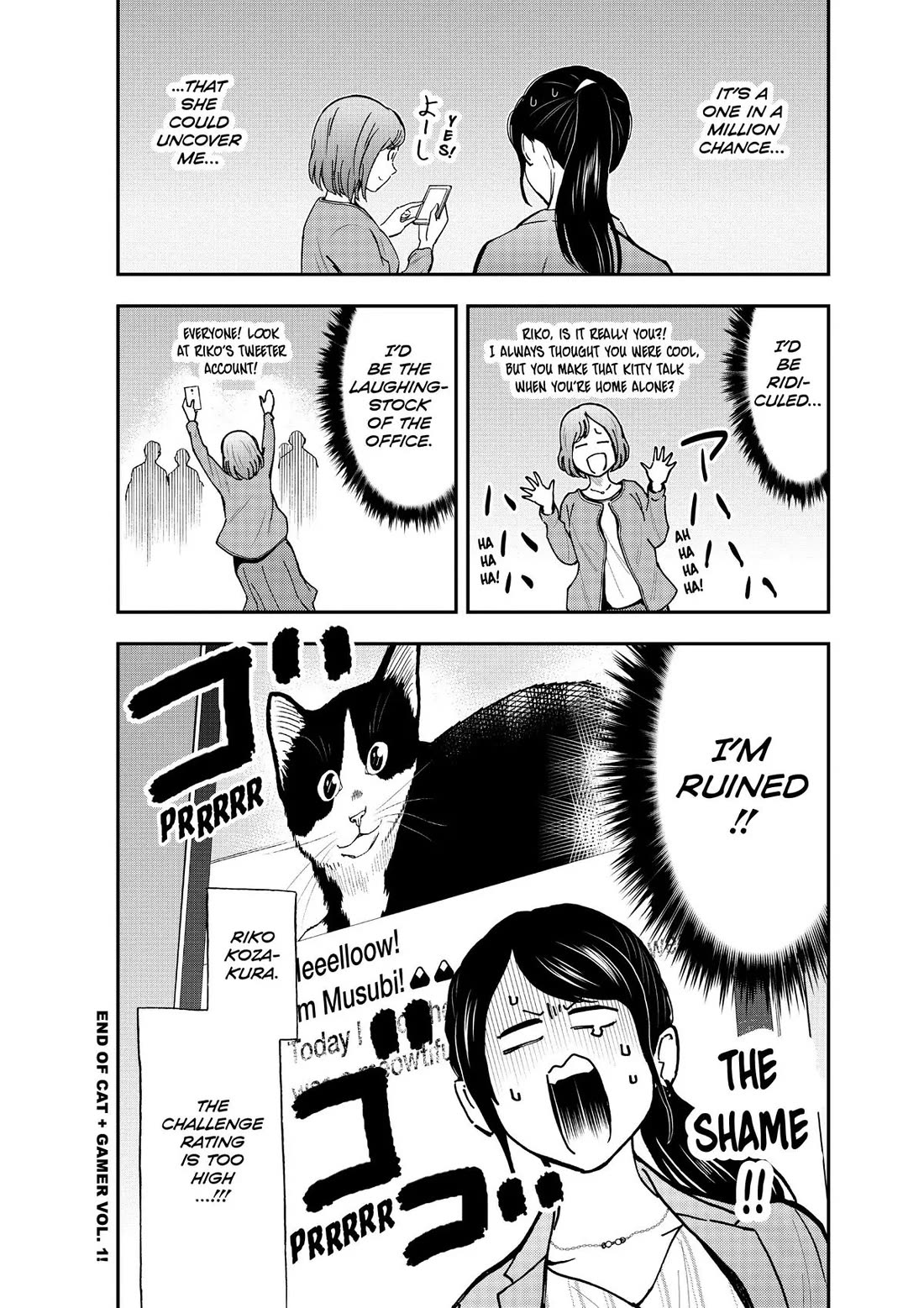 A Gamer Living with a Cat Chapter 8 page 12 - Chapter 8: Cat + Gamer + Tweeter
