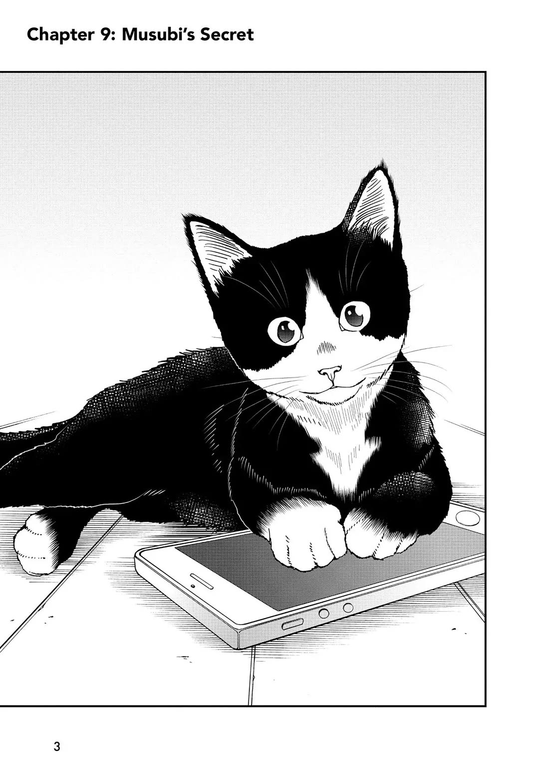 A Gamer Living with a Cat Chapter 9 page 3 - Chapter 9: Musubi's Secret