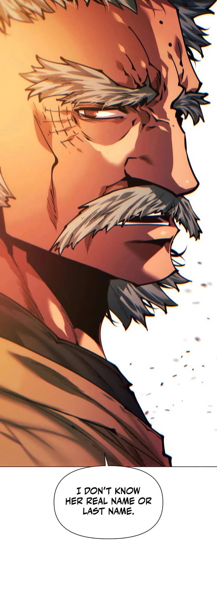 A Modern Man Who Got Transmigrated Into the Murim World Chapter 145 page 3 - Chapter 145