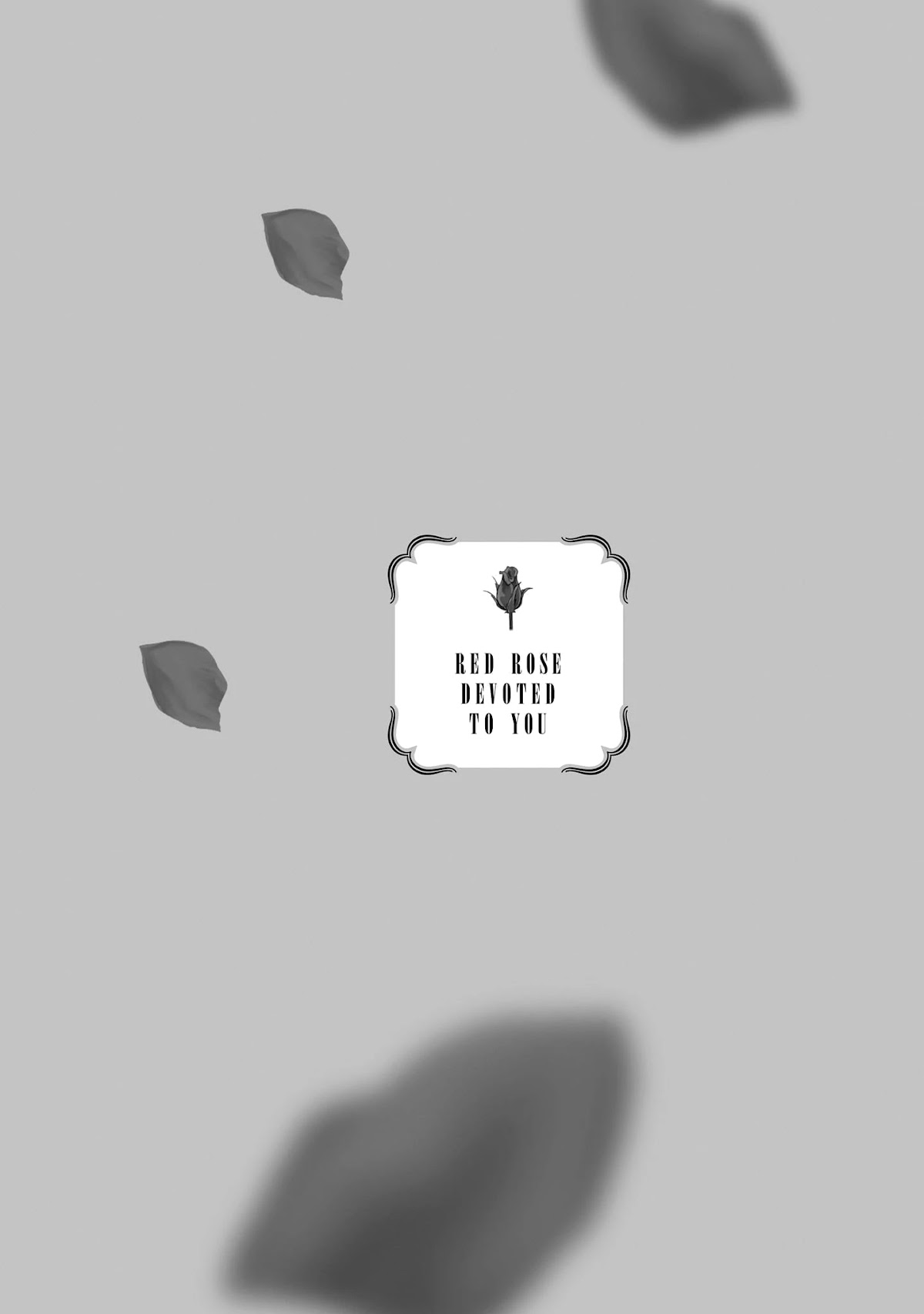 A Red Rose Devoted To You Chapter 14 page 1 - Chapter 14