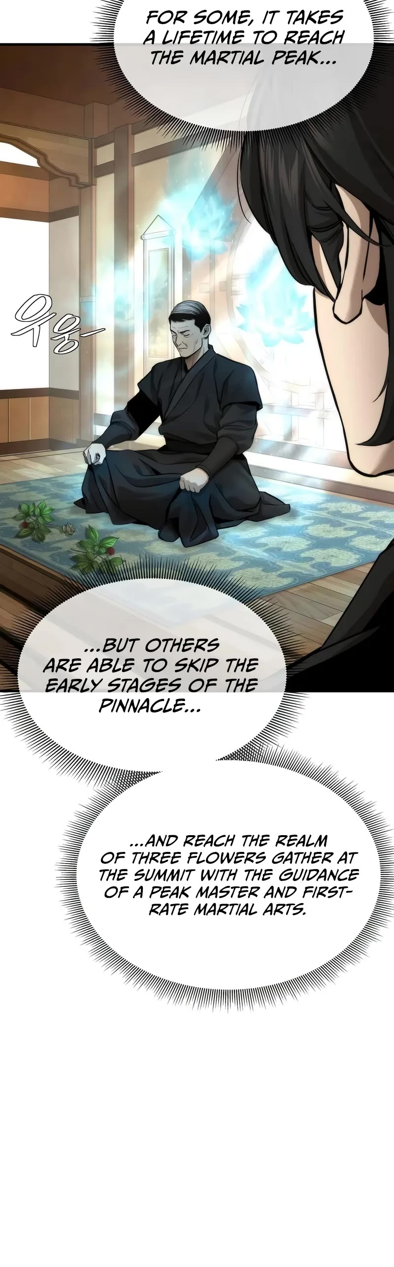 A Regressor's Tale of Cultivation Chapter 17 page 6 - Chapter 17